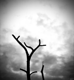 IMG_3516