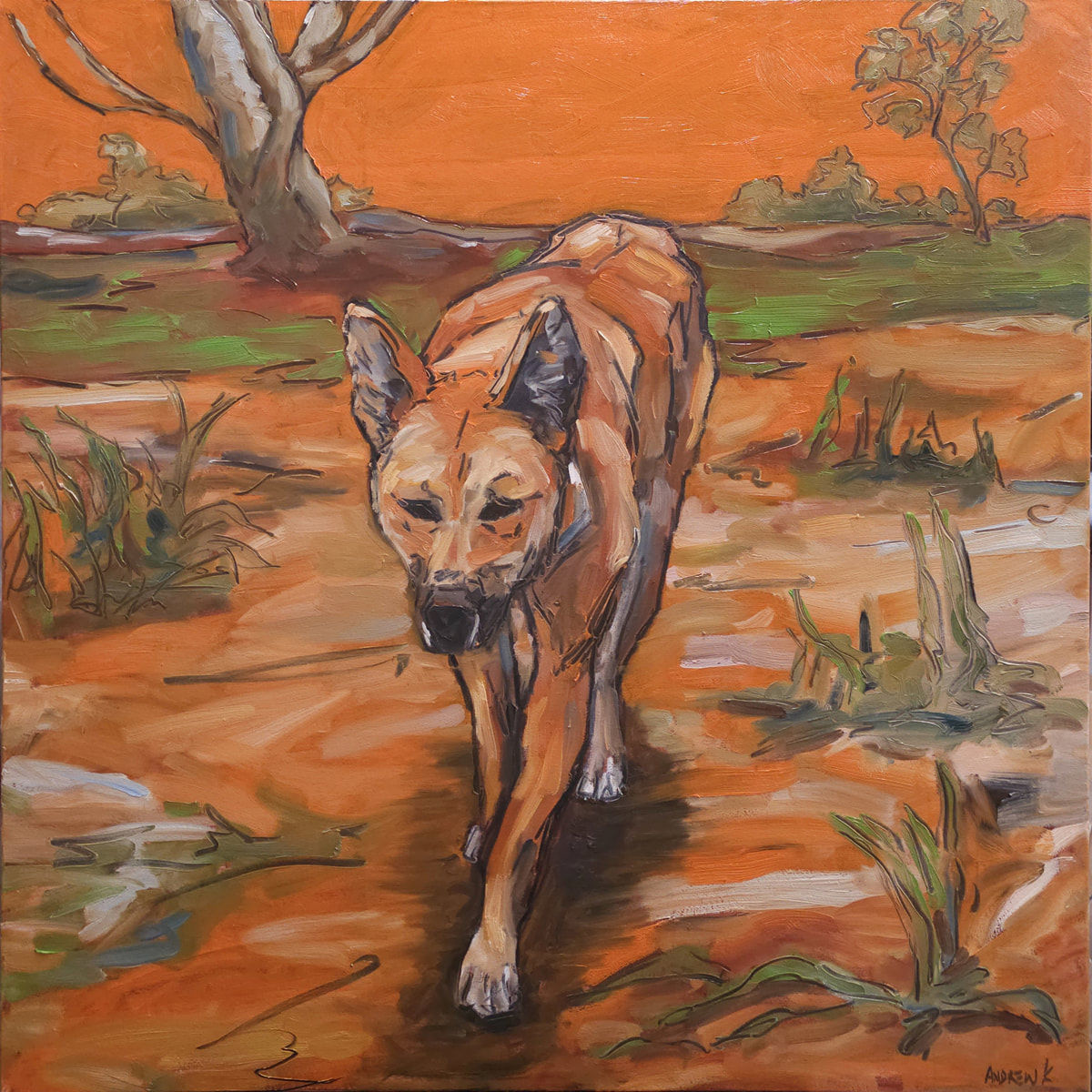 The Patrol | Dingo