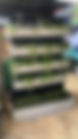 amazon-concrete-pot-the-pot-shack-garden-concrete-pot-gauteng-29939483345046.jpg_v=1628094