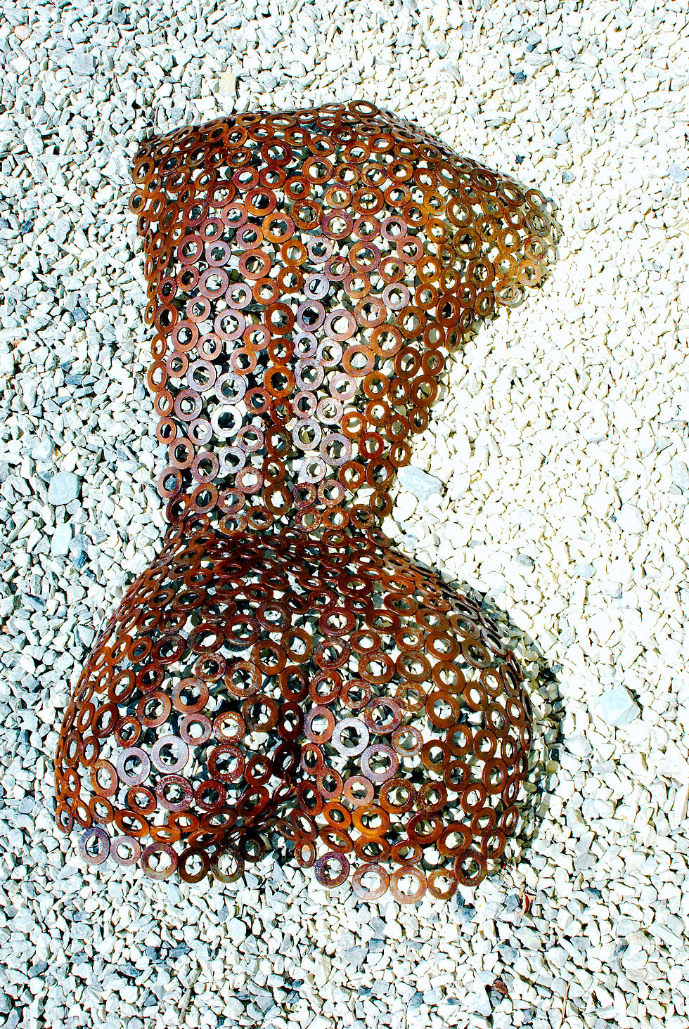 Miniaturbild: Torso Rücken rost