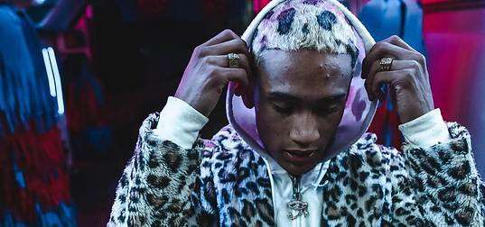 Screen Shot 2022-08-13 at 11.25.19 AM.png