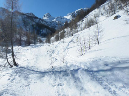 Chamois ( Pic du ) da Larche