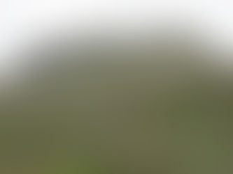 Creton du Midì da Planaval