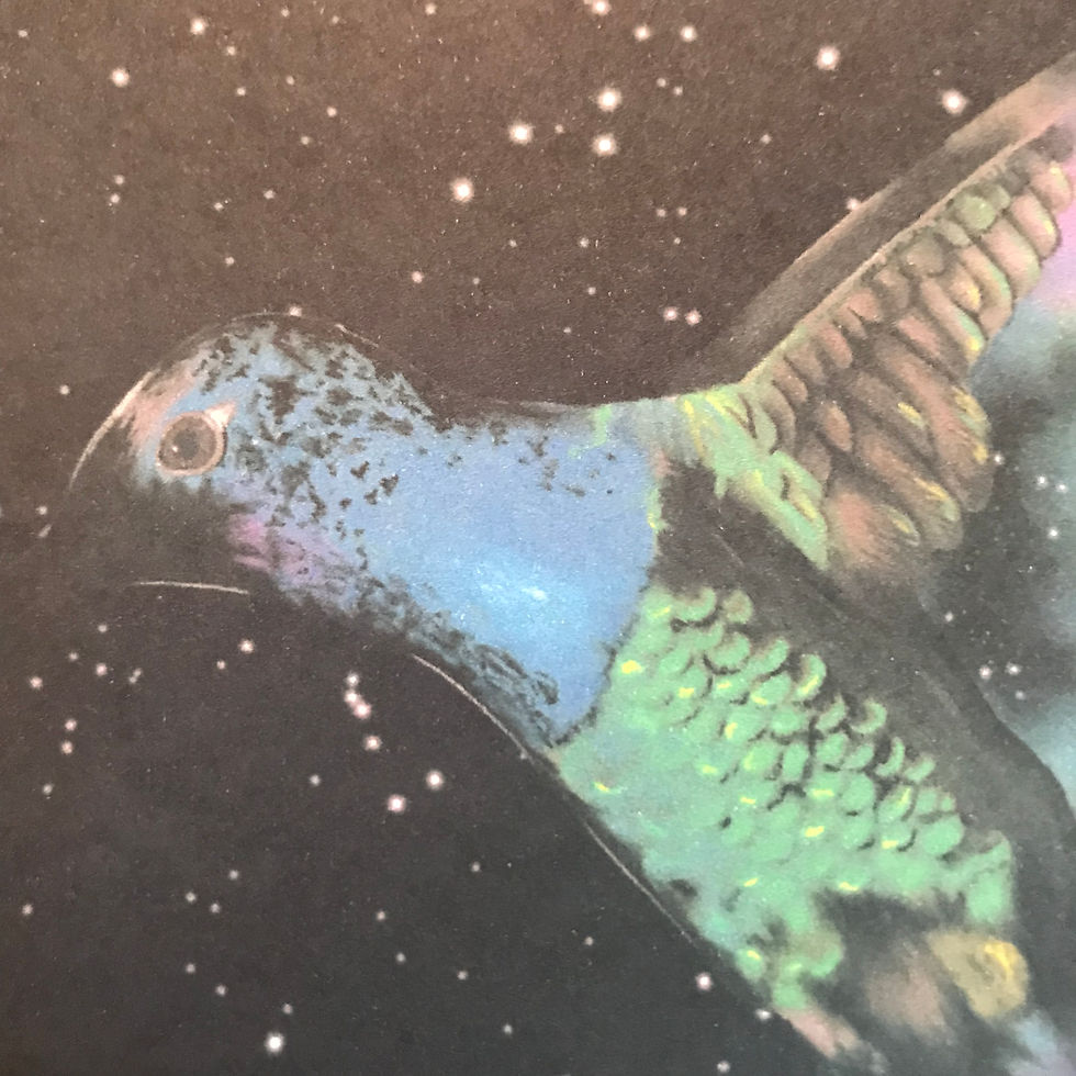Thumbnail: Galaxy Hummingbird Art Print