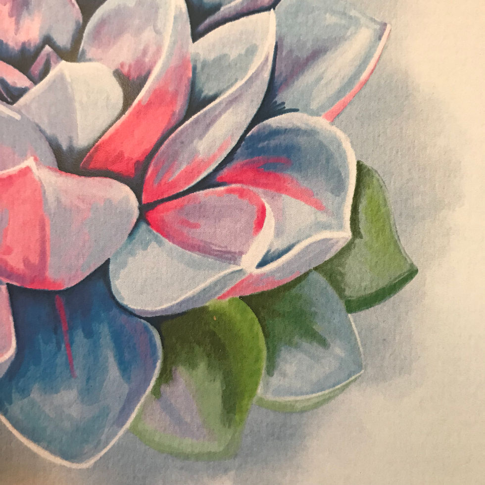 Thumbnail: Colorful Succulent