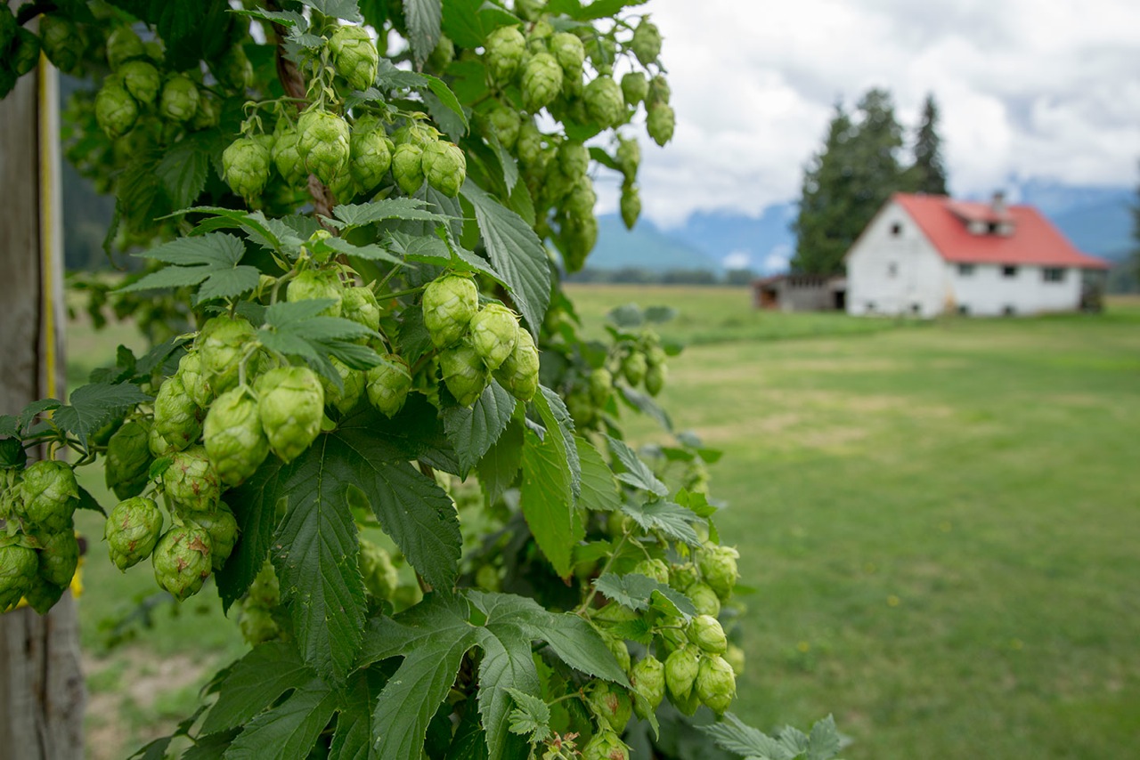 The Beer Farmers Farm Brewery & Tasting Room