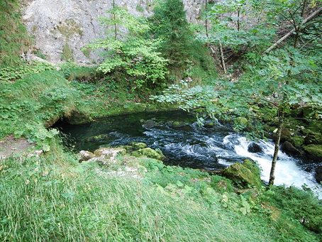 Source de L'Orbe