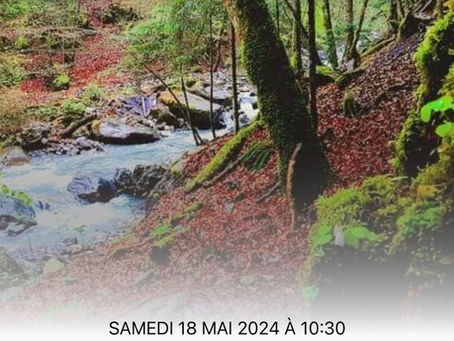 Source de l'Avançon de Nant