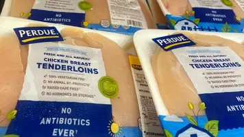 Copyright: Adam McCullough/Shutterstock