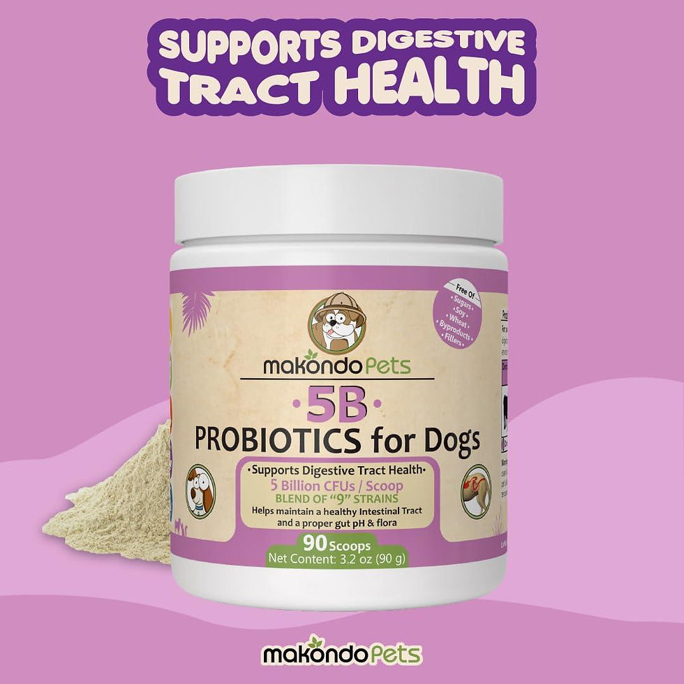 Thumbnail: Probiotics for Dogs Puppies Extra Strength 9 Species 5 Billion CFU per Scoop of