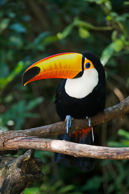 Untitled design(2).png