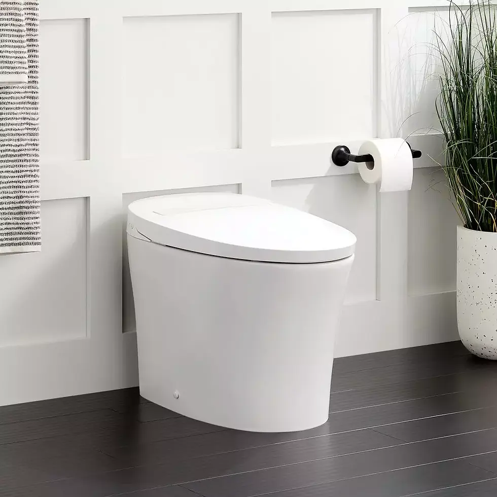 Thumbnail: Signature Hardware Narelle Elongated One Piece Tankless Toilet