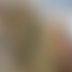 IPR - Glossar / Begriffe A-Z