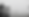 sailboat-on-calm-water-in-the-fog-with-palm-trees-upscaled.png (1).png