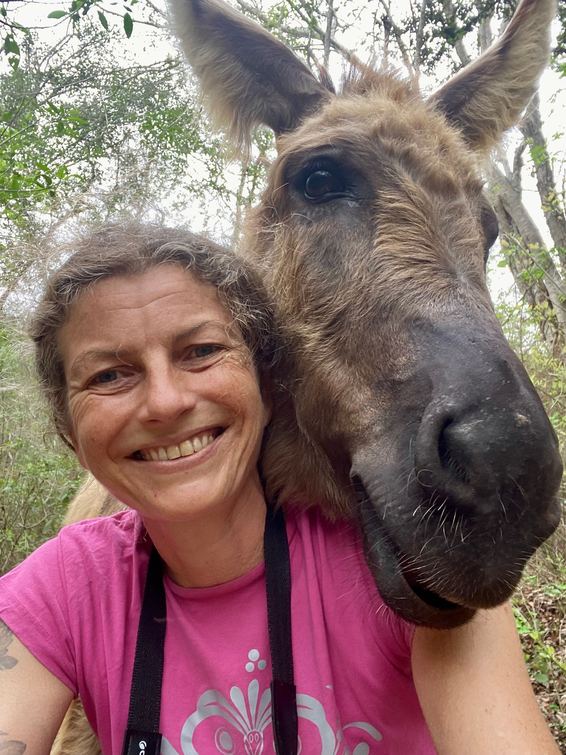 Biologist
guide
donkey
