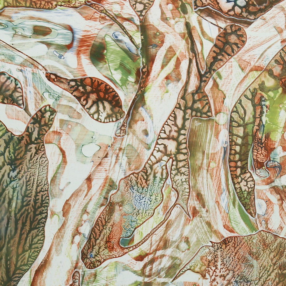 Heart of the RainforestDETAIL2