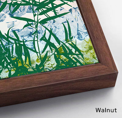 Thumbnail: Waking with Gratitude