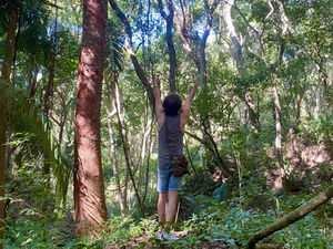 Which Natikari Ecotour Is Right for You?