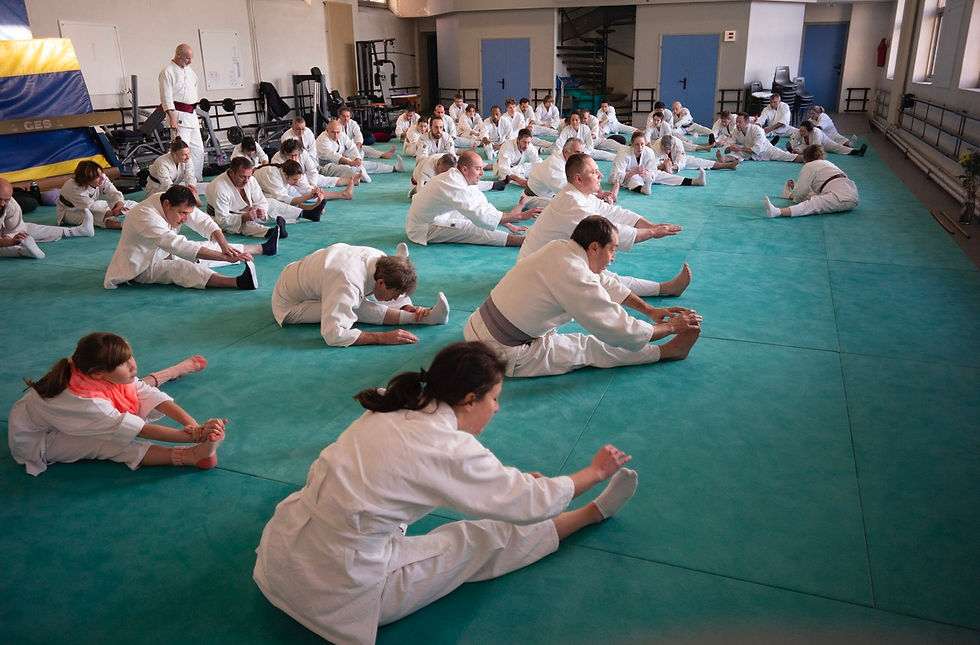 © Aikido Club Valais