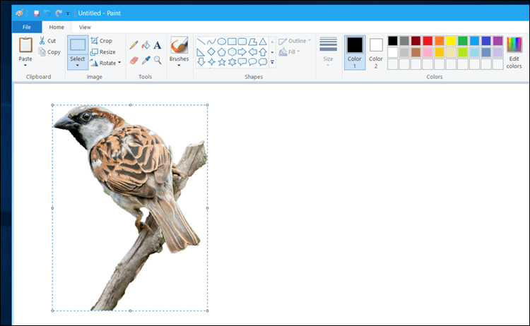 برنامج الرسام فى ويندوز