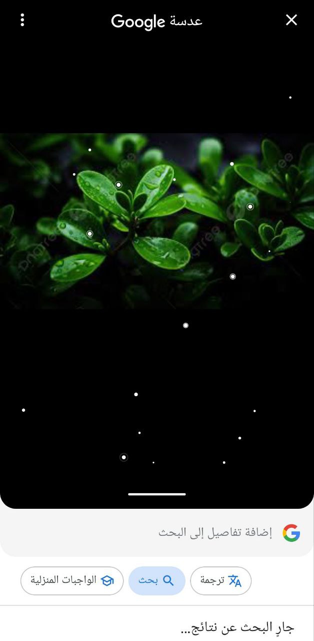 البحث العكسي بالصور باستخدام جوجل