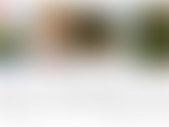 شرح Query Loop Block وكيفية استخدامه في الووردبريس