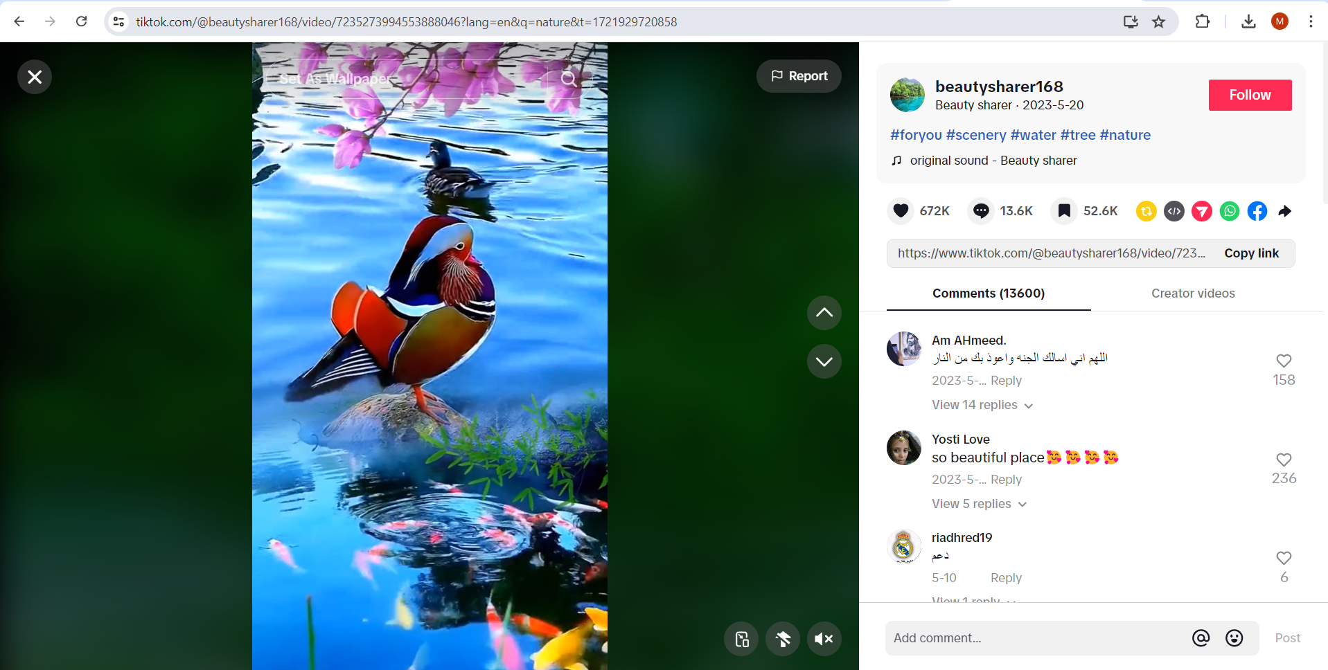 تحميل فيديو تيك توك على سطح المكتب