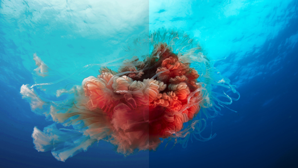 مصطلح الداينامك رينج - dynamic range ماذا يعني ؟