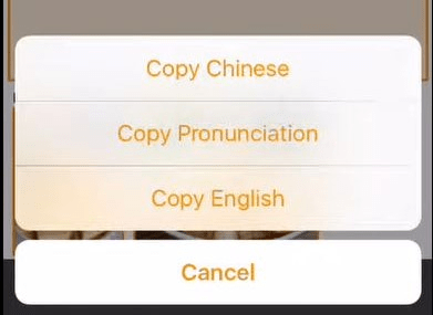 خيارات النسخ في مترجم WAYGO