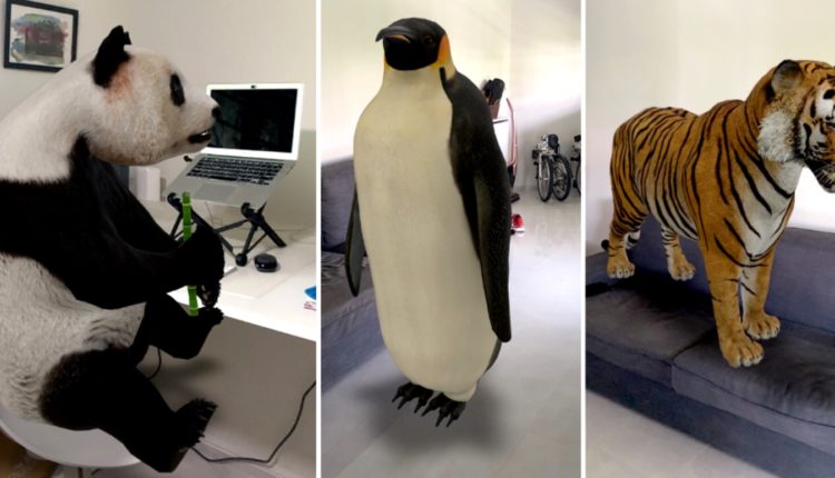 قائمة حيوانات جوجل ثلاثية الابعاد