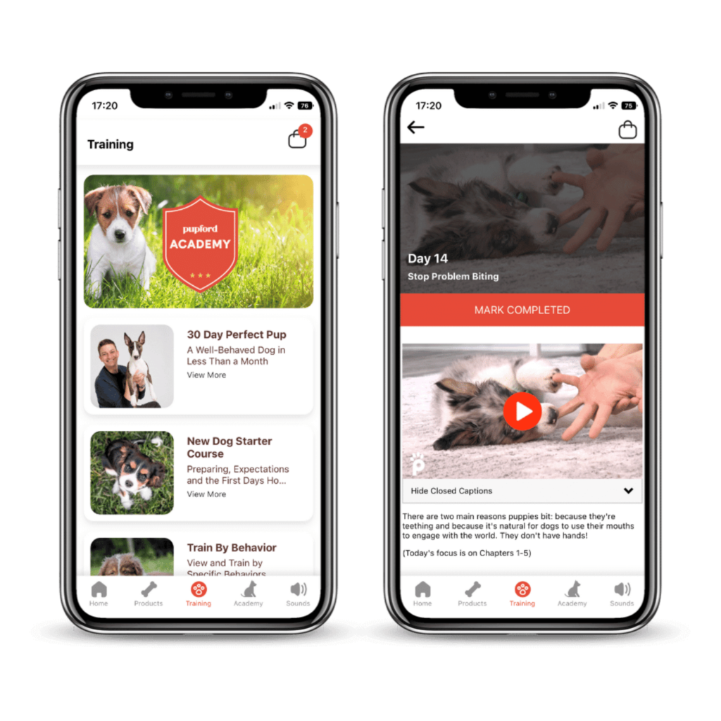 تطبيق Pupford تدريب الكلاب