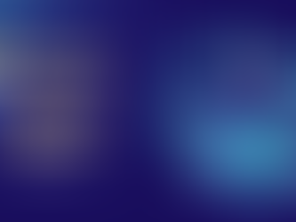 كل ما نعرفه عن تحديث جوجل فلوريدا 2 Florida