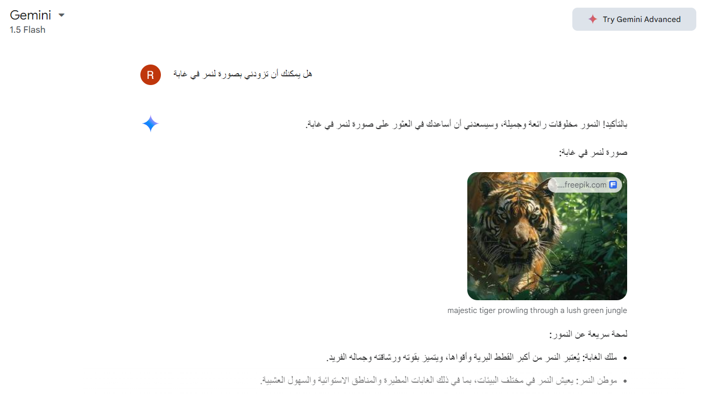 طلب صورة من الذكاء الاصطناعي Gemini