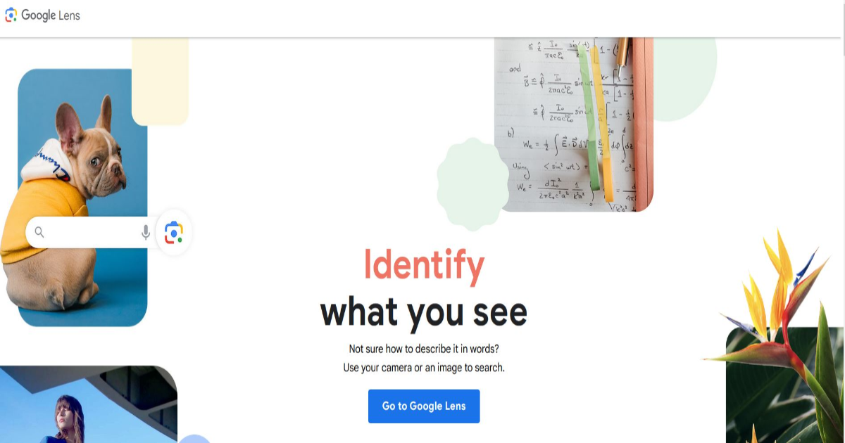 Google Lens للبحث العكسي عن الصور