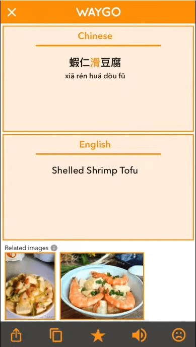 الخيارات الخاصة بمترجم Waygo