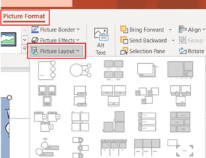 الخيار "تخطيط الصورة (Picture Layout)"
