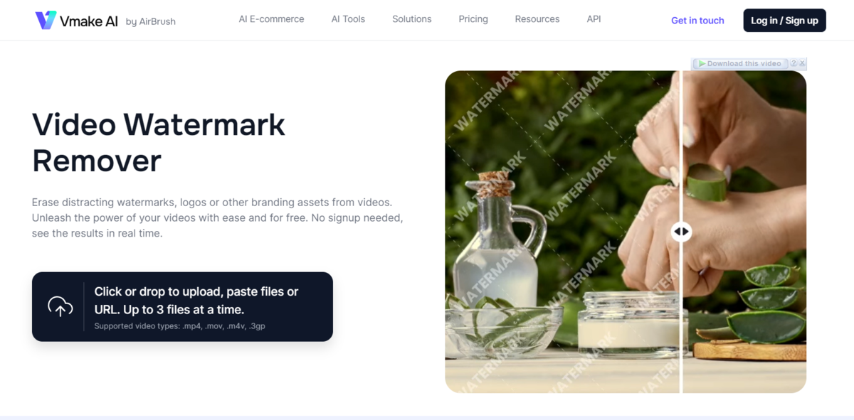 Video Watermark Remover Online