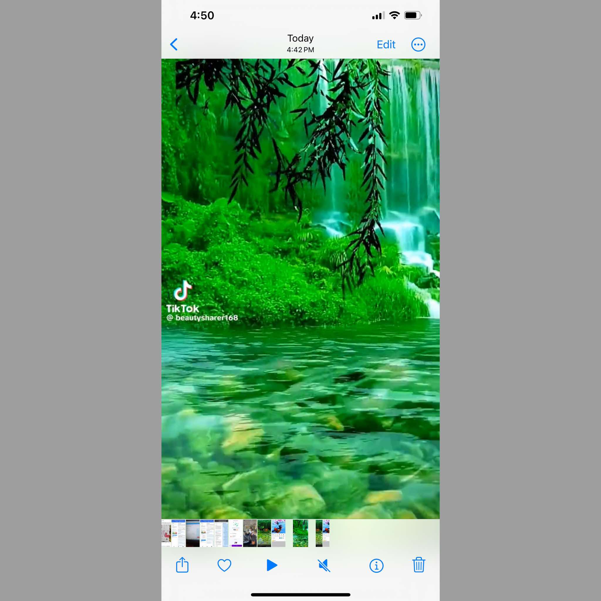 فيديو تيك توك المحمل على الايفون