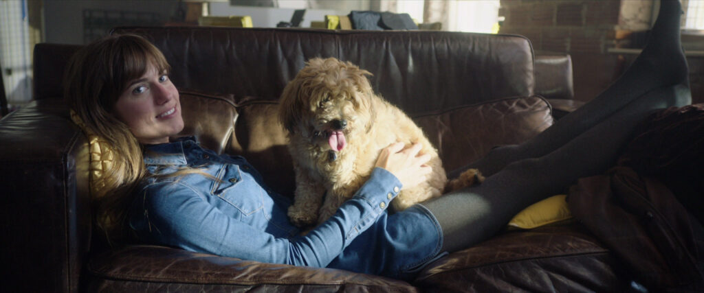 طرق وأنواع في الإضاءة : The Softhub Lighting