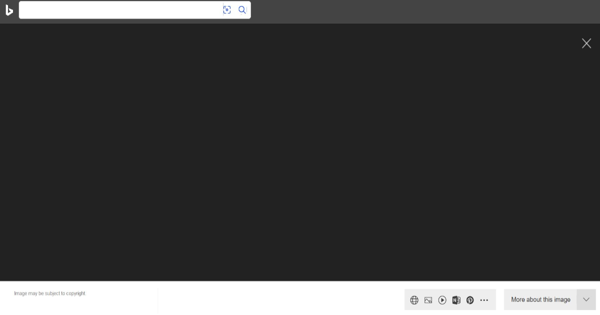 صور محرك البحث bing