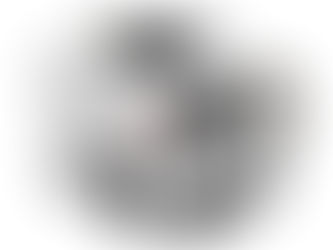 الإعلان عن كاميرا V-RAPTOR الجديدة كلياً من RED