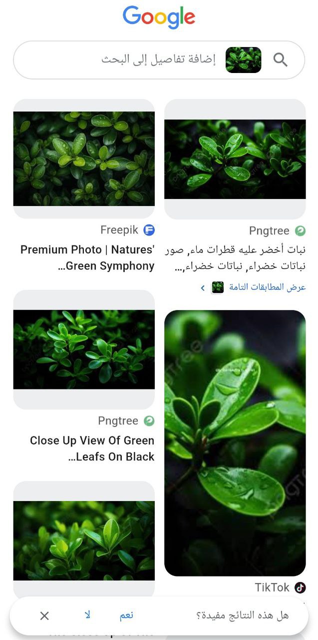 البحث العكسي عن صورة في جوجل بإضافة تفاصيل البحث