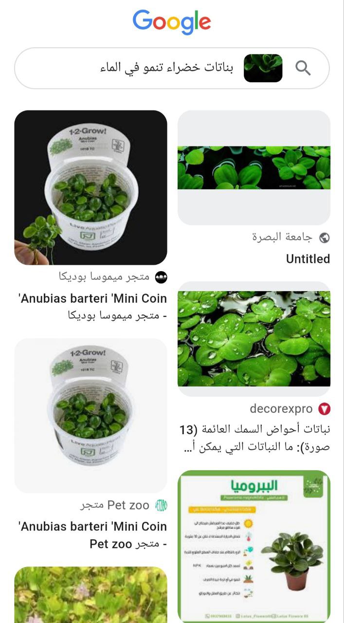 إضافة تفاصيل البحث