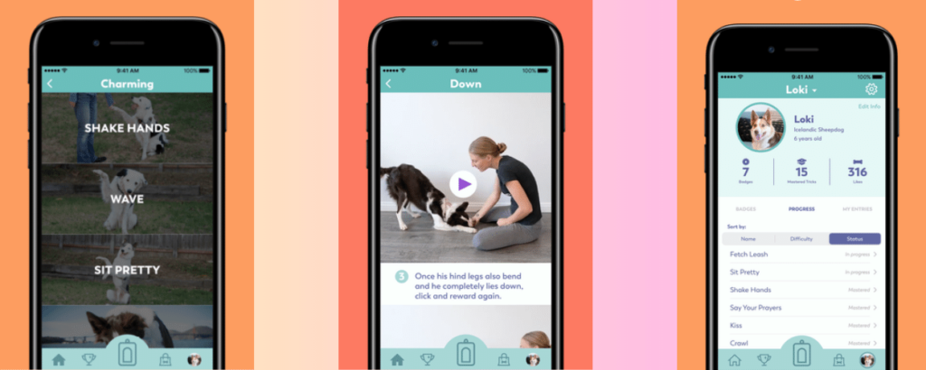 تطبيق Puppr لتربية الكلاب