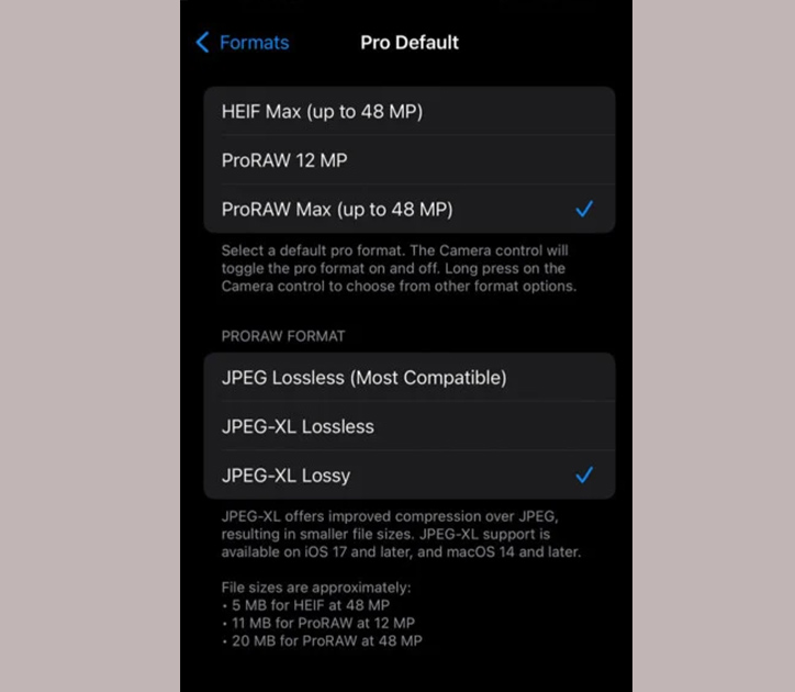 اعدادات الكاميرا ios > jpeg xl