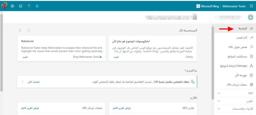 أداة مشرفي المواقع بينج 