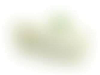 ماهو سيو – seo ؟