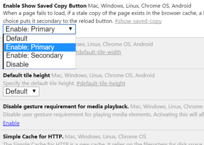 Offline Browsing Google Chrome 2