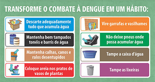dengue 2.jpg