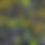 Thumbnail: Collection Skort Janis